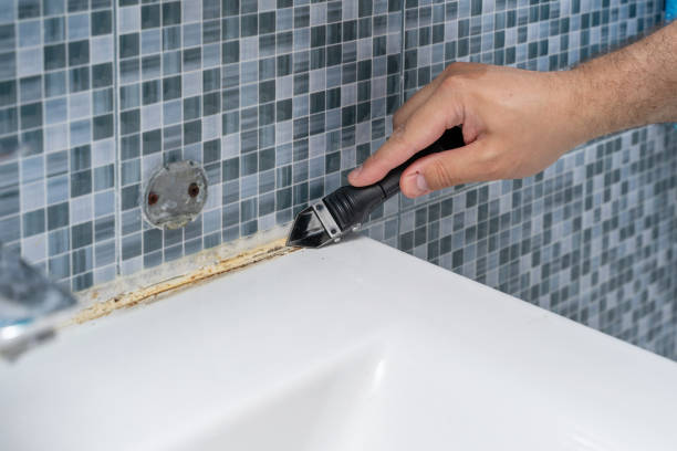 Best Mold Removal Near Me  in Richmond Heights, OH