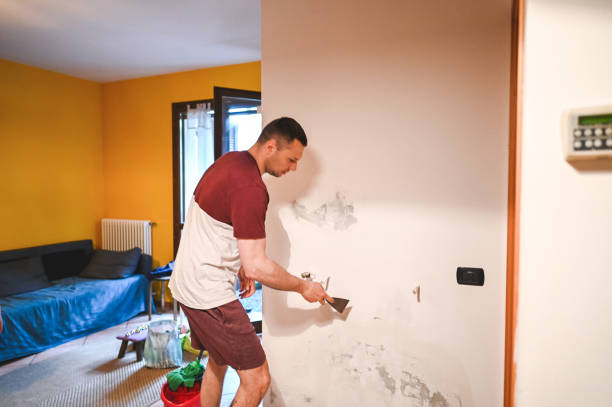 Best Mold Remediation Experts  in Richmond Heights, OH